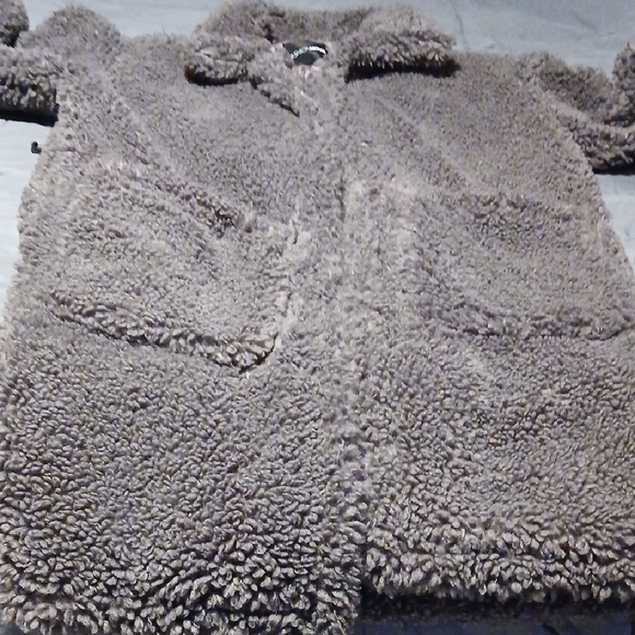 Fashion Nova Cozy Gray Teddy Coat - Picture 5 of 9